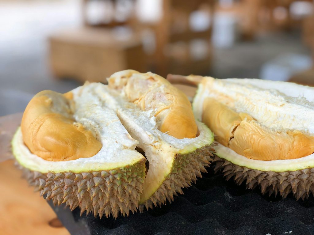manfaat Durian