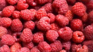 Manfaat raspberi