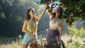 bisnis wisata petik buah