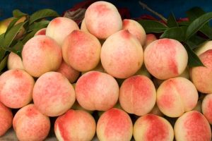 olahan peach